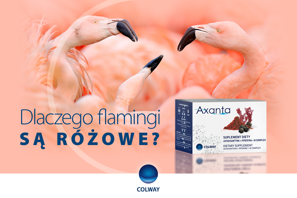 Axanta od COLWAY